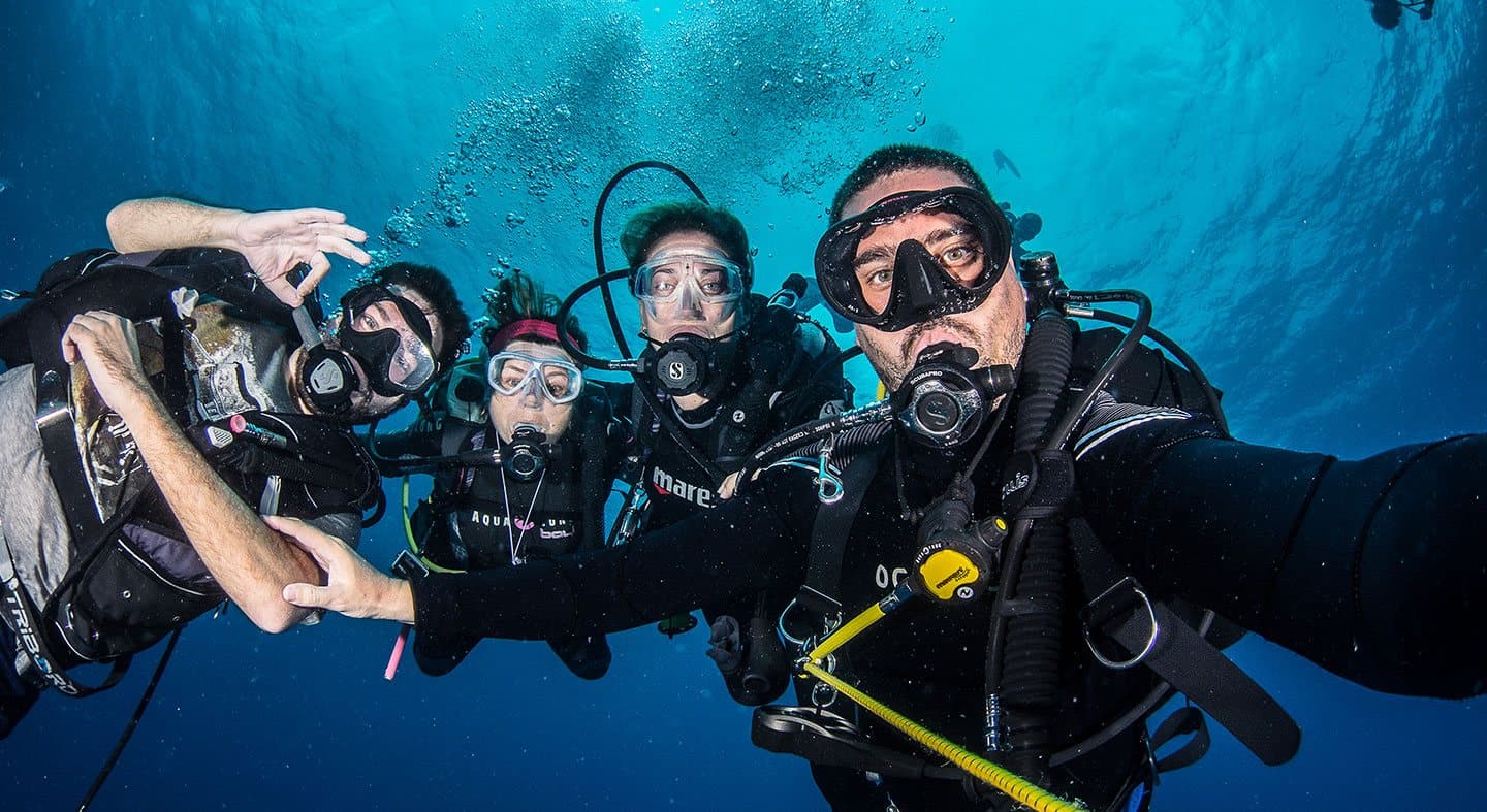 Open Water Scuba Diver course