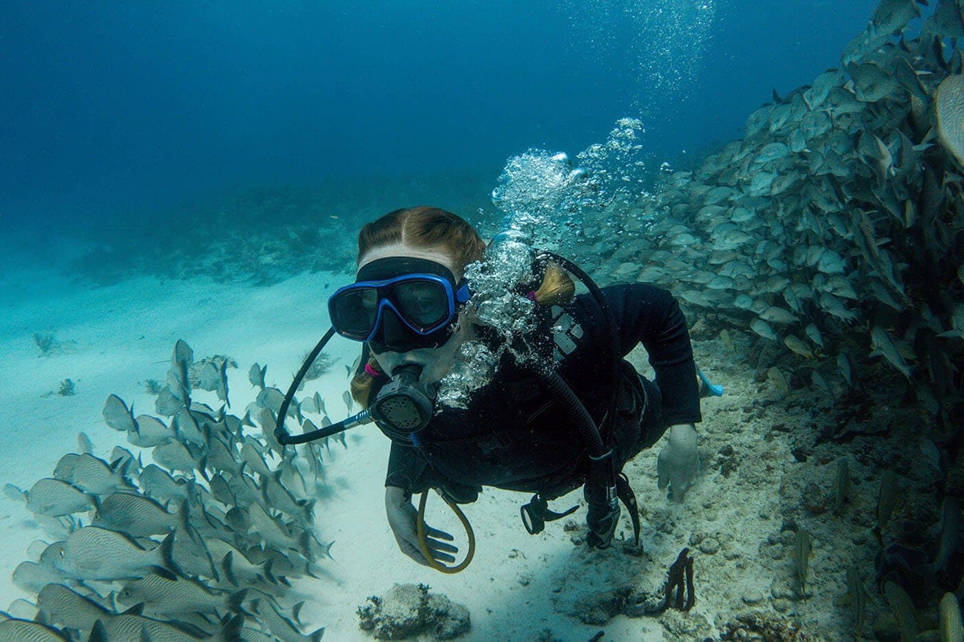 Diver swimming alongside a school of reef fish